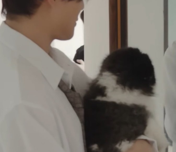 bboxiaxi's tweet photo. 츄 정말 그 털의 밀집도(?)가 남다름 방수될듯 https://t.co/GRVOBAPlVS