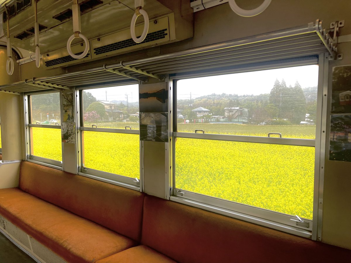 No__Respect1230's tweet photo. 色々出かけた(^^)今回写真は真剣に撮らずに、ニュースは見ずに色��散策

いやー人生たのしいわ( ^ω^ )

これからも頑張らずにたのしむ👍 https://t.co/Tw9QPPGvvf