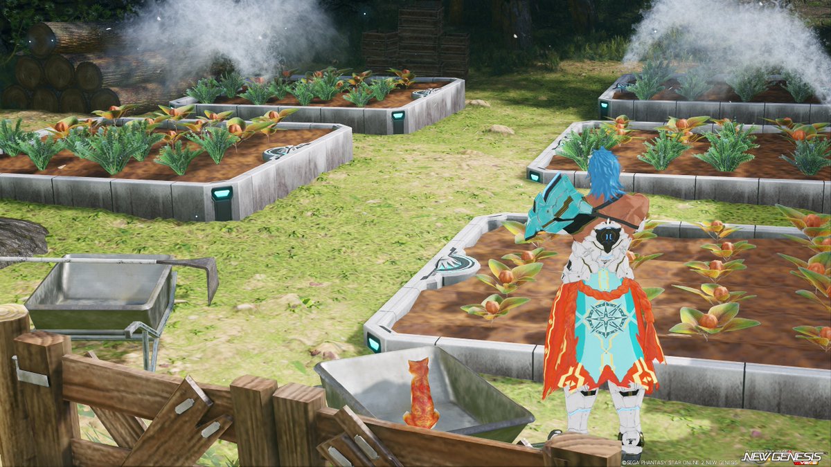 cacaorich_cat tweet picture