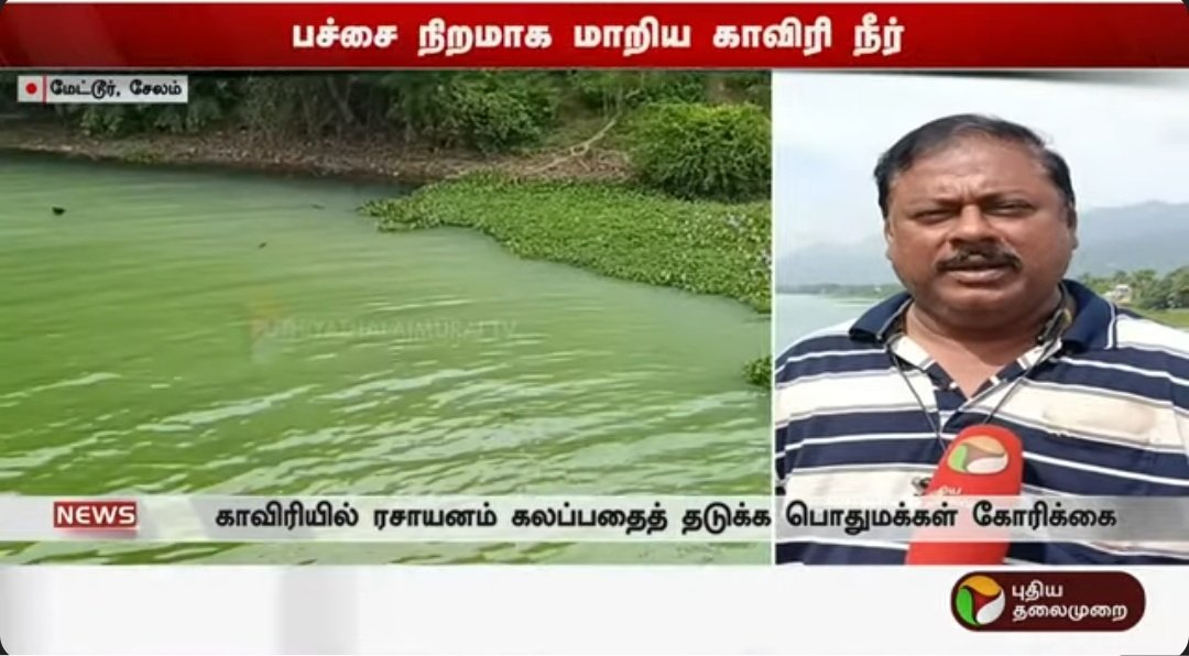 Deltarains's tweet photo. டெல்டாவெதர்மேன் ஹேமச்சந்தர் சுற்றுச்சூழல் குறித்த சிறப்பு பதிவு

#தலைப்பு: பச்சை பாசி பரவுதல்- எல் நினோ காலக்கட்டத்தில் உலகளாவிய பிரச்சனை..

==> பச்சை பாசி படர்தல் பெரிய நீர் தேக்கங்கள் துவங்கிய சிறிய குளம், குட்டைகள் வரை ஏற்படக்கூடிய பிரச்சனை.

==> நீரில் அதிகபடியான நைட்ரஜன், பாஸ்பரஸ் அளவின் காரணமாகவும், நீரோட்டம் குறைந்தும், நீர் அதிக வெப்பத்துடன் இருப்பது மற்றும் குறைந்த அளவு நீர் தேக்கம் போன்றவை முக்கிய காரணிகளாக பார்க்கப்படுகிறது.

==> குறிப்பாக அனையிலிருந்து குறைவான நீர் வெளியேற்றும் போது விவசாய நிலங்களிலிருந்து வெளியேற்றப்படும் நீர், கழிவு நீர் கலக்கும் போது பாஸ்பரஸ், நைட்ரஜன் அளவு தண்ணீரில் அதிகரித்து ஆக்ஸிசன் அளவு குறைவதால் இப்பிரச்சனை ஏற்படுகிறது.

பச்சை பாசி படர்தலின் தாக்கம்:

1. நீர் மாசடைதல்
2. நீரில் ஆக்ஸிசன் குறைவது.
3. மீன்கள் & நீர் தாவரங்கள் இறப்பு.
4. குடிநீர் & விவசாயத்திற்கு நீர் பயன்படுத்தமுடியாத நிலை.

==> வறட்சி ஆண்டுகளில் இந்த பச்சை பாசி படர்ந்தல் உலகளவில் பெரும் பிரச்சனையாக உருவெடுக்கும்.

==> எல் நினோ ஆண்டுகளில் ஆஸ்திரேலிய, தெற்கு ஆசியா,  போன்ற நாடுகளில் இதன் தாக்கம் அதிகம் இருக்கும். 

==> தற்போது மேட்டூர் அணையிலிருந்து குடிநீர் தேவைக்காக திறக்கப்படும் நீரில் இப்பிரச்சனை காணப்படுவது கவலையளிக்கிறது.

==> தங்களது ஊராட்சிகளில் உள்ள நீர் நிலைகளில் (ஏரி, குளம், கண்மாய்) பச்சை பாசி பரவுதலை பார்த்தால் உடனடியாக சுண்ணாம்பு கரைசல் கலந்து ஆரம்ப காலக்கட்டதிலேயே தவிர்க்க வேண்டியது அவசியமாகும்.

என்றும் இயற்கையுடன்
டெல்டாவெதர்மேன் ஹேமச்சந்தர்