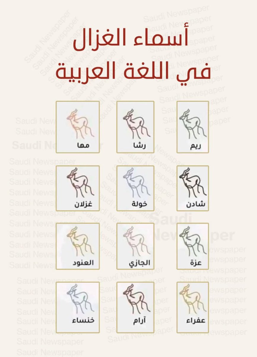 qqq_2007's tweet photo. #حنا_ندورك https://t.co/kemh46B3QP