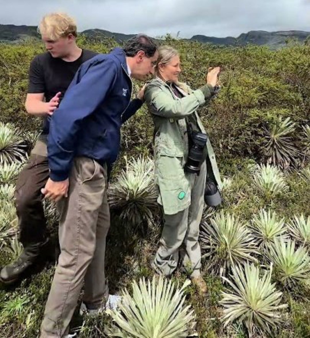 riotruena's tweet photo. Nos están pisando los frailejones!! 
Fuera de nuestros páramos, frackineros asquerosos https://t.co/sSFwbOeVLO