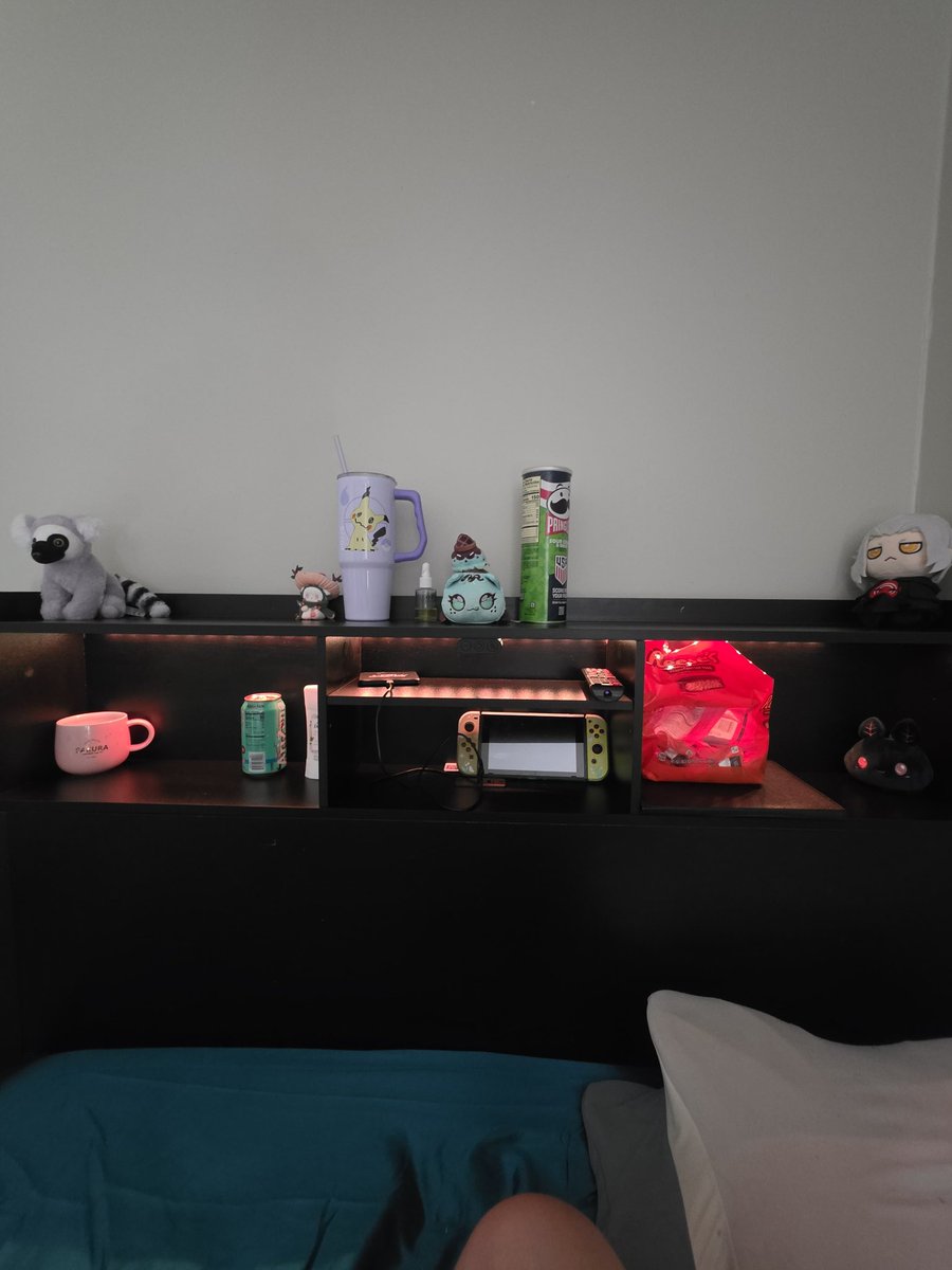 forest_wisp's tweet photo. Independent 
I built the bed myselff https://t.co/F0bQyX8LnJ