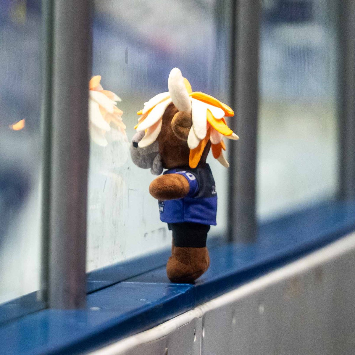 ClanIHC's tweet photo. Is it August yet? 😴 https://t.co/mQhDYKOA8u
