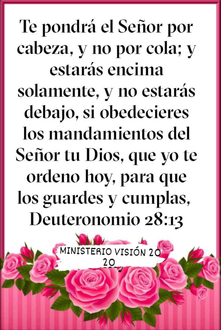 OlcorsaOlga's tweet photo. https://t.co/YQEyU3K9il