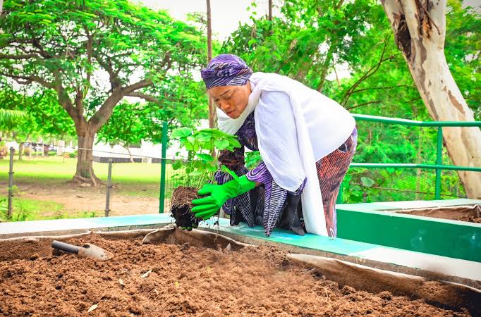 HarmlessHQ's tweet photo. If not for the vegetables Mummy Remi planted in 2023, wetin Tinubu for chop this afternoon??

Hardworking woman>>>> https://t.co/AwtAUrV5U6