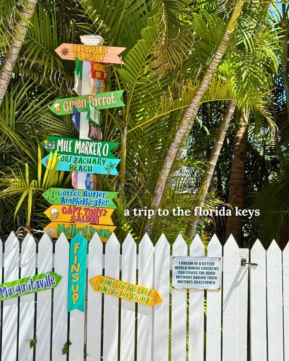 thefloridakeys's tweet photo. Manifesting island time. 🌴

A few days of sunshine, turquoise water, fresh seafood, and absolutely nowhere to be sounds like exactly what the doctor ordered.

Until then, we'll be daydreaming about driving the Overseas Highway with the windows down.

Who's joining you? https://t.co/MhDoxg0ybz