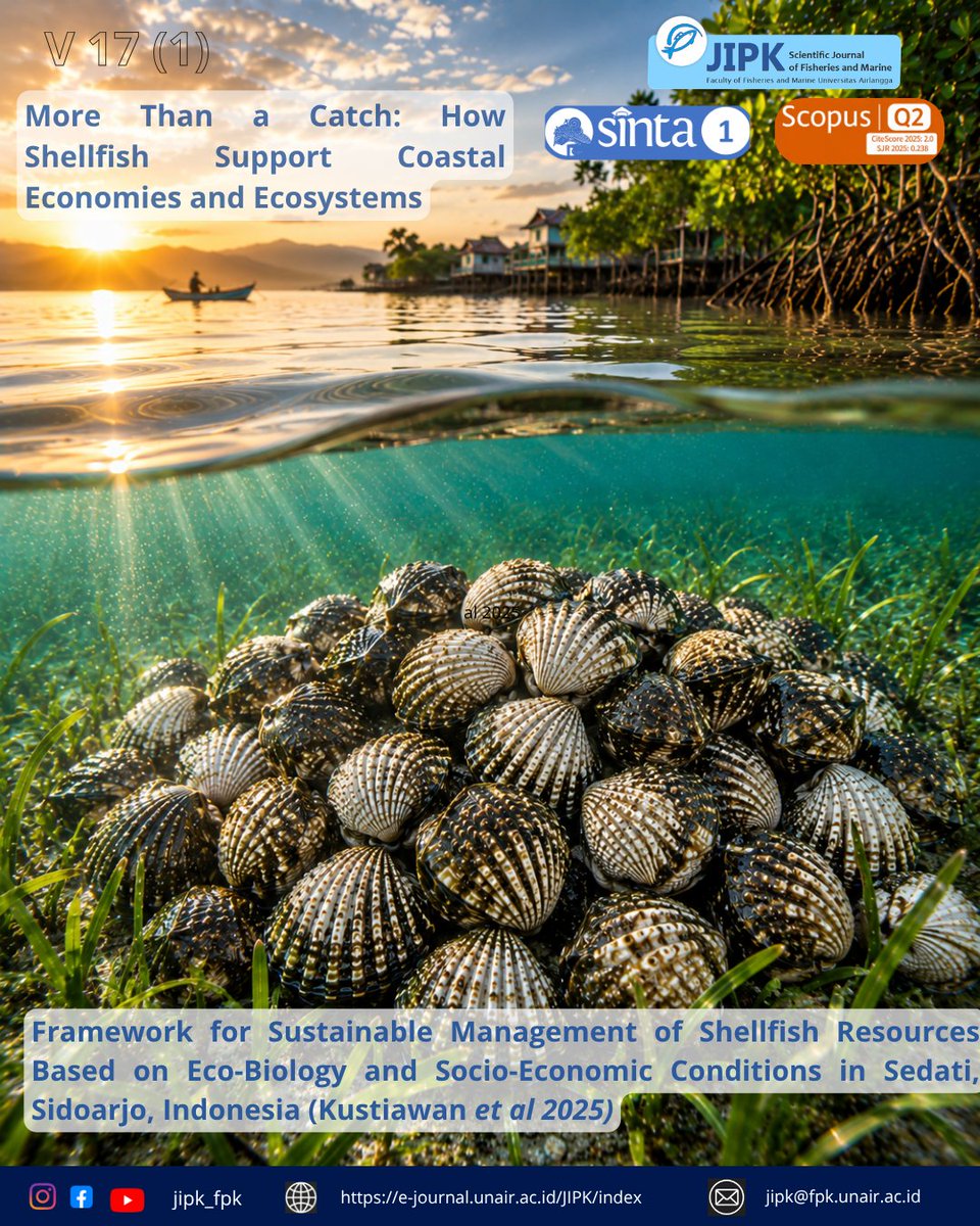 jipk19's tweet photo. "More Than a Catch: How Shellfish Support Coastal Economies and Ecosystems"
Highlight Research
01. Sustainable Management: Developing strategies for the long-term sustainability of shellfish resources in Sedati, Sidoarjo.
#fpkunair
#jipk
#scopus
#scopusjournal
#journal https://t.co/jXIoL3p1kv