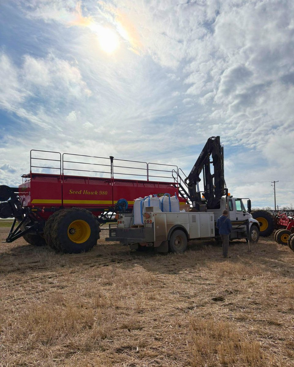 condiegenetics's tweet photo. A champion by name. Built to perform.

RUSH, our newest red lentil variety, is entering the field for the first time. 
The name is inspired by Olympic bronze medallist, Lyndon Rush, whose career was defined by consistency, discipline, and performance under pressure. https://t.co/x5e9erpEZr