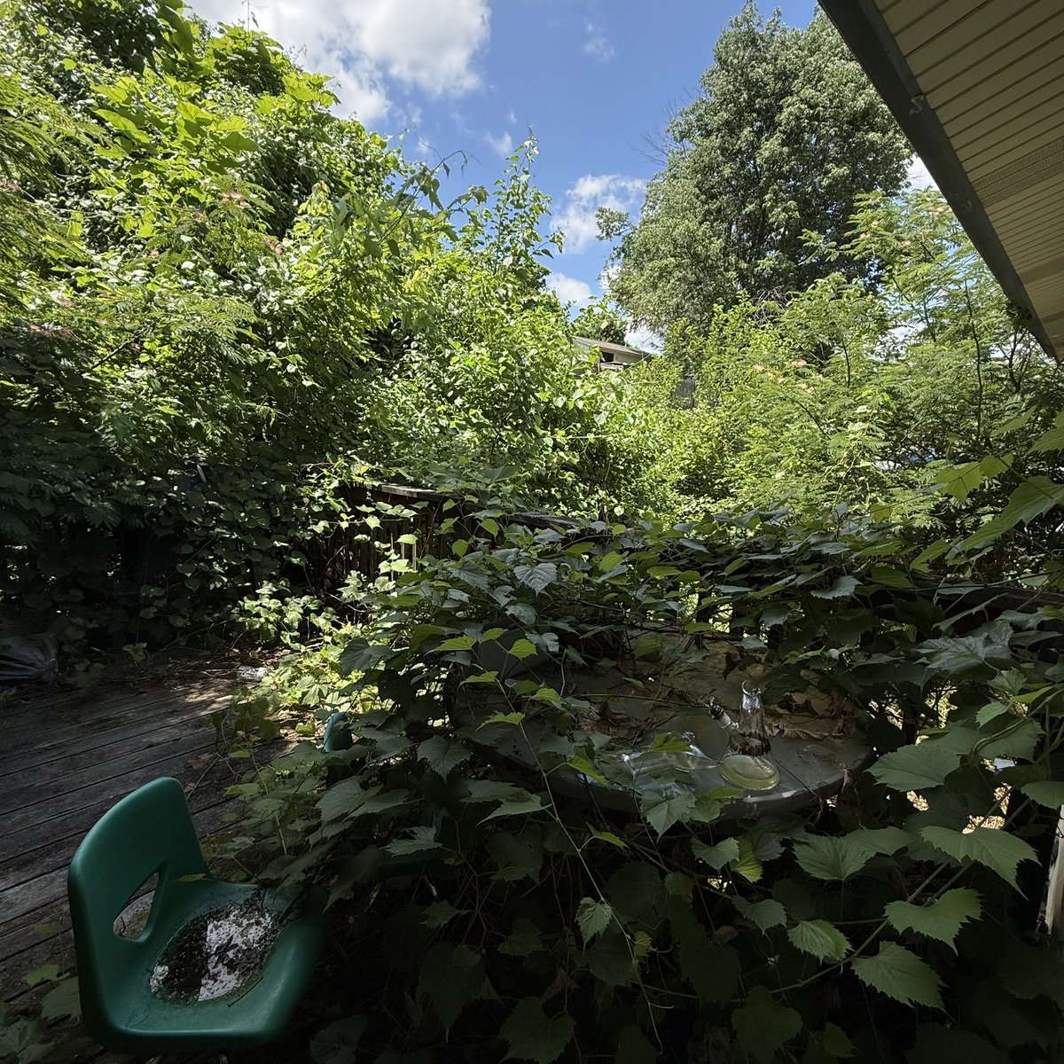 binkblip's tweet photo. love my porch https://t.co/Sh84l1Md1z