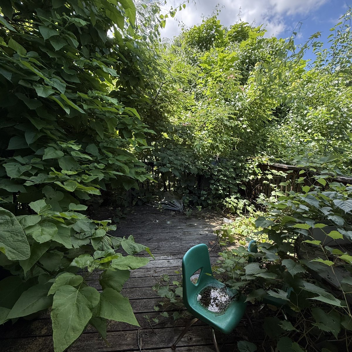 binkblip's tweet photo. love my porch https://t.co/Sh84l1Md1z