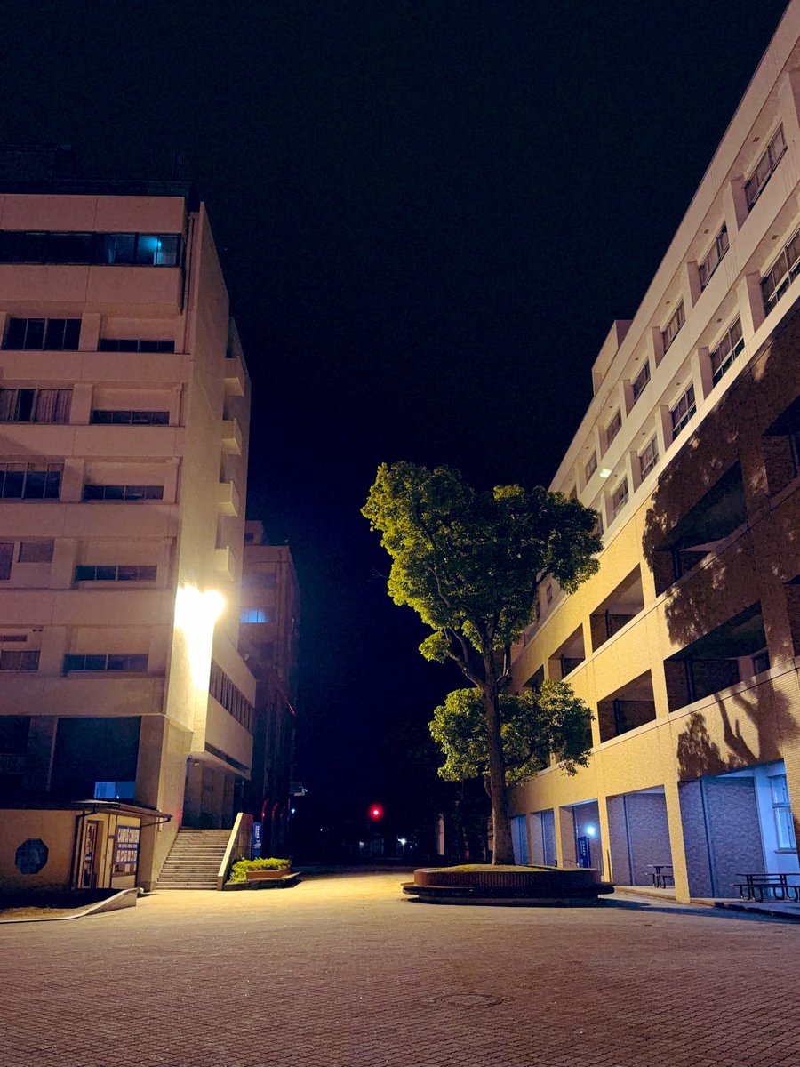 hisashimari's tweet photo. ここのところ発信できないほどに心を亡くしておりました。
まずはふたやまくらい。
早朝から出張なのだけれど、果たして起きられるのだろうか。不安🫨
#fukui #福井 #福井工業大学 #立命館大学 #マーケティング https://t.co/ZeEuilNv0Y