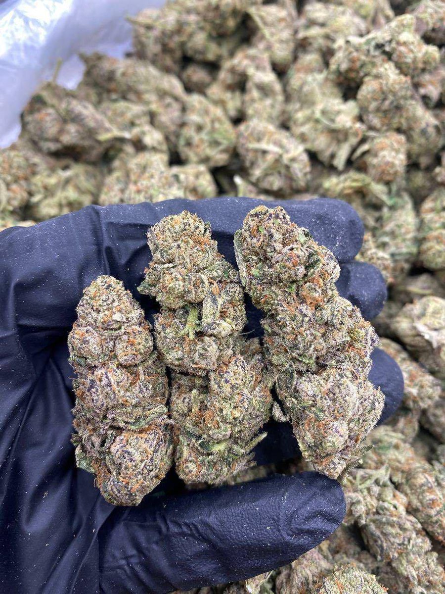 SUBX CANNABIS tweet media
