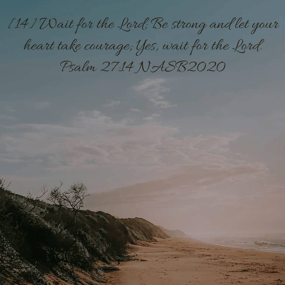augie260's tweet photo. Psalm 27:14 NASB2020
[14] Wait for the Lord; Be strong and let your heart take courage; Yes, wait for the Lord.

https://t.co/1xcqyH2zq1 https://t.co/NgaR9y8JuV