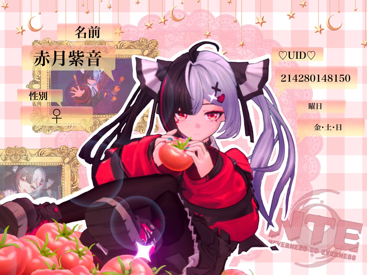 ネップリ