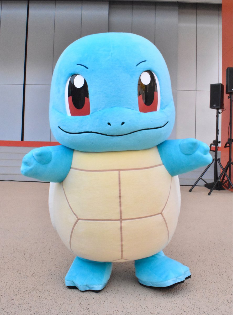 hinopika's tweet photo. 自慢の甲羅を見せてくれたよ🫧⟡.·
#ポケパークカントー https://t.co/L3HMHtXE0p