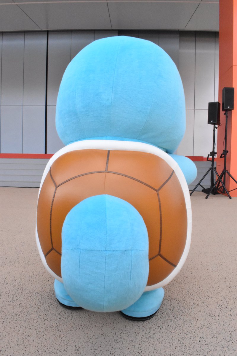 hinopika's tweet photo. 自慢の甲羅を見せてくれたよ🫧⟡.·
#ポケパークカントー https://t.co/L3HMHtXE0p