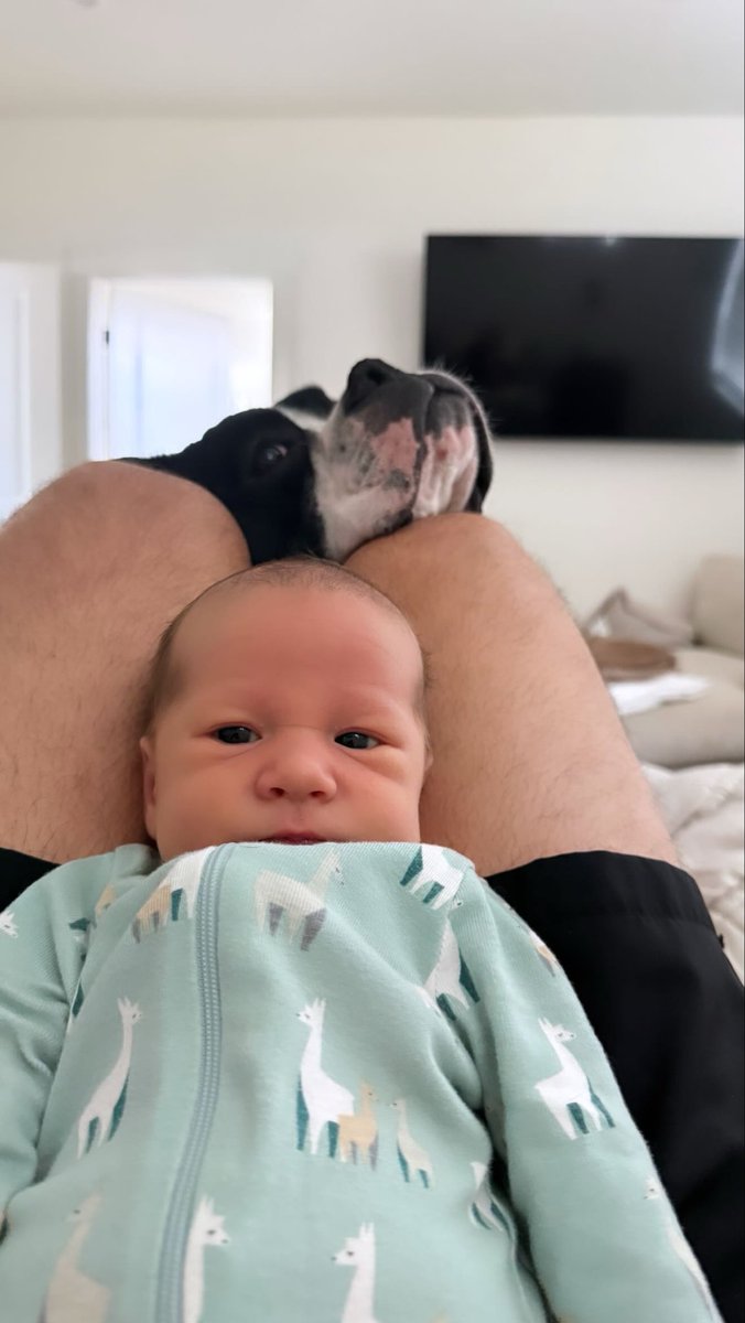 J_Schilly's tweet photo. Dog days of paternity leave… 😂😂😂 https://t.co/qsaqsbYFH4