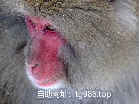 Kayra568500's tweet photo. 电报账号
电报成品号
电报解除敏感
电报填写邮箱怎么填
tg号
telegram账号 电报收不到验证码 https://t.co/gFuLnGnDby