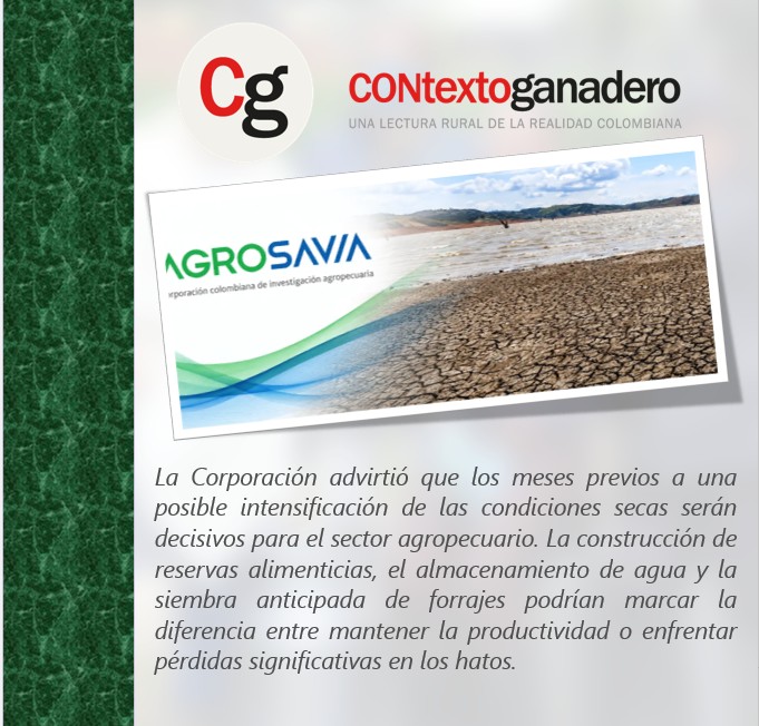 PlGranada's tweet photo. Agrosavia alerta sobre poca preparación para enfrentar El Niño, pero aún se puede actuar. https://t.co/3b5D5UBEbO @Fedegan @jflafaurie @ContGanadero https://t.co/SDTMz52OrZ