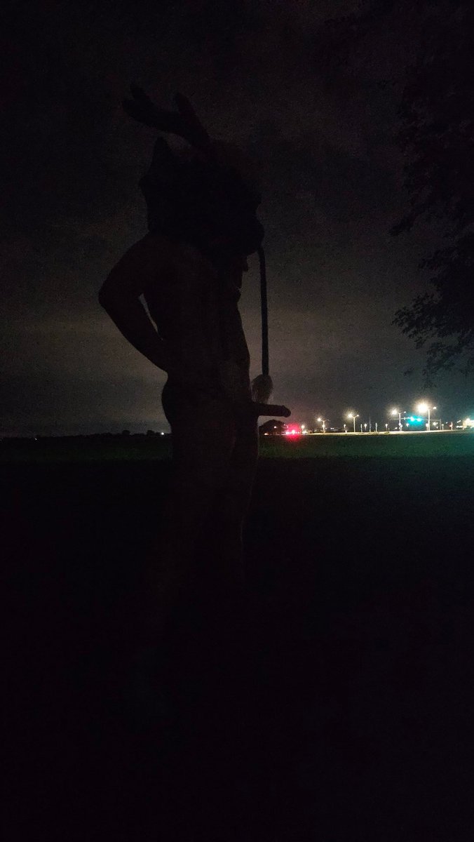 GayAssDragon's tweet photo. NGL recalling enjoying these silhouettes of me semi hard https://t.co/wbOjtGLHKP
