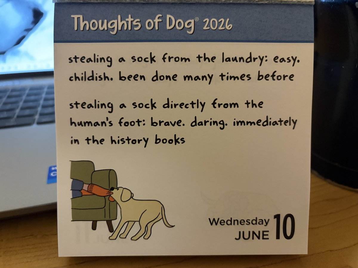 northroadcreate's tweet photo. @SheaSerrano are you writing for @dog_rates @dog_feelings now? This feels very much like a Shea Serrano thought! https://t.co/Qiks9ZVo0u