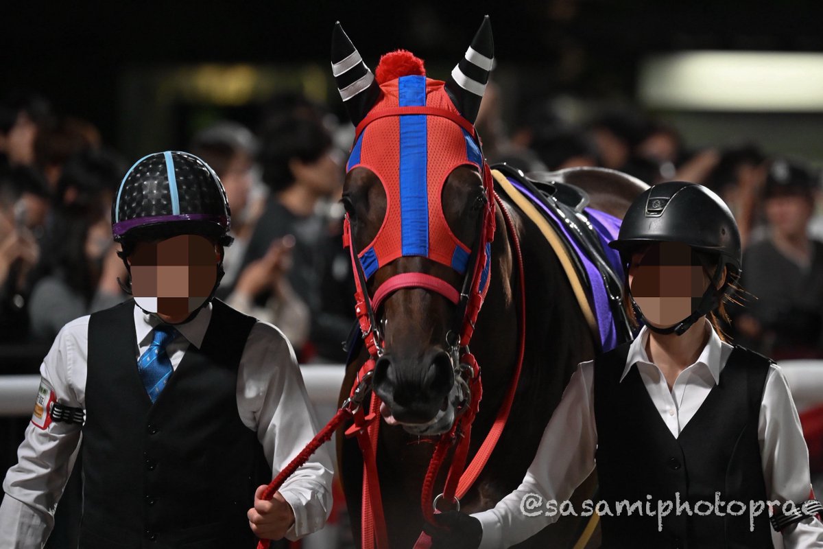 sasamiphotoprac's tweet photo. 東京ダービー
ゴッドフェンサー/ミルトイブニング

兵庫競馬代表として堂々とした走りでした！特にゴッドフェンサーは地方最先着！青森県産馬として、そして兵庫二冠馬の名に恥じない走りに感動しました😭 https://t.co/REk4ZtKt9r