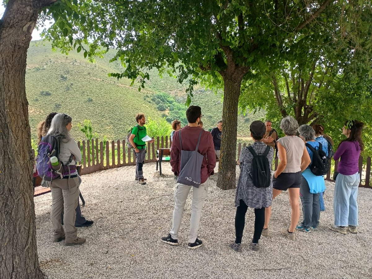 A_Micorriza's tweet photo. Jornadas sobre #árboles y #arboledas singulares 🌳
Este mes celebramos unas jornadas únicas dedicadas a conocer, valorar y disfrutar de nuestro #patrimonioarbóreo en la Mancomunidad del Embalse del #Atazar.
Más información e inscripciones:
https://t.co/2v7VPOdXGb https://t.co/tlz1h3sA3k