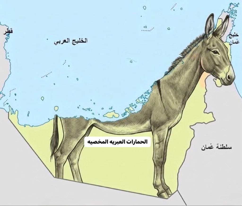 cenwar30's tweet photo. مصر تبيع محطة جبل الزيت بطاقة الرياح لشركة إماراتية ب٤٦٠مليون دولار بينما تكلفة إنشاؤها ب٥٧٠مليون دولار 
يعنى  بخسارة ١٥٠مليون دولار ! 
يا حسرة عليك يا مصر في ظل حكم العسكر. 
امارات الوكيل الحصري للكيان الصhيوني في المنطقة العربية https://t.co/0svJyH5aFl