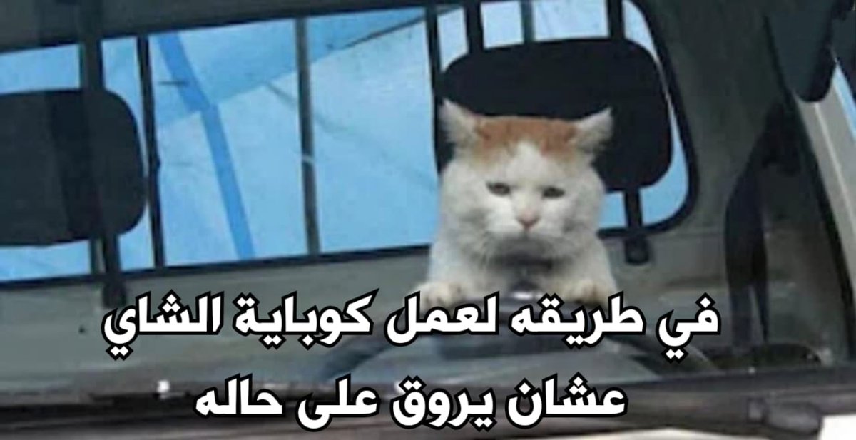 Sarcasm_Station's tweet photo. https://t.co/f24wDv5myP