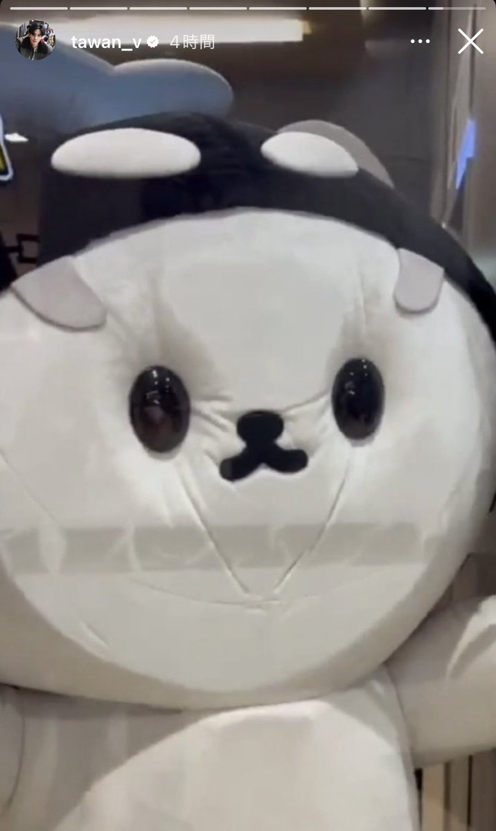 Pao_space's tweet photo. ( ¯꒳¯ )ᐝ ɢᵒᵒᵈ ɴⁱᵍht🌙.˖ https://t.co/45mll3zvCR