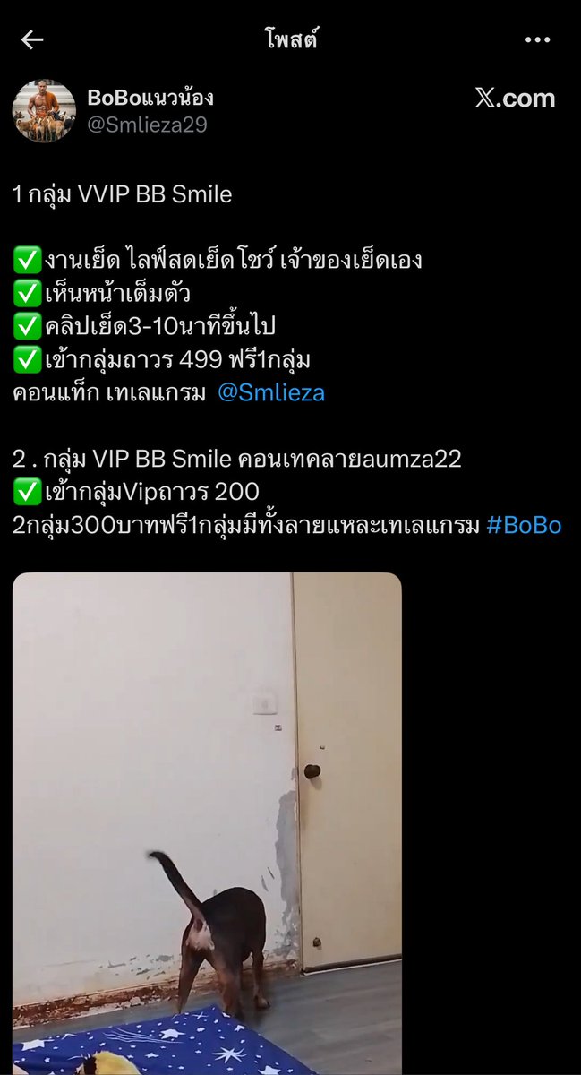 baeviam's tweet photo. @chaleenajaja อุมากกก ทุเรศมากสงสารน้องๆ🥲🥲🥲 https://t.co/4J7QY0EmcZ