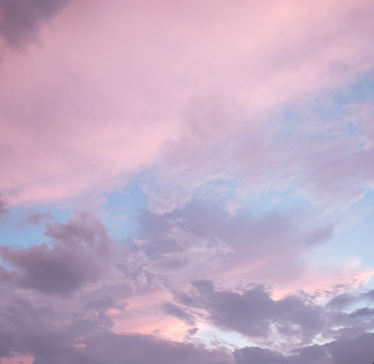 🐰₊˚⊹ 𝙷𝚞𝙿𝚞𝚏𝚏 𐙚₊˚🤍💞 tweet media