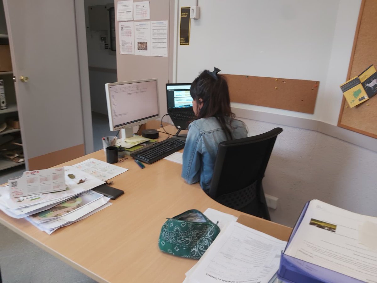 easolsones's tweet photo. ✔️ Dubtes, repassos i exàmens de recuperació.
✔️ Juntes d’avaluació i claustres.
✔️ Manteniment  de les instal·lacions. 
✔️ Cursos de @fpo_continua.
✔️ Visites a les empreses que acullen alumnat en pràctiques per fer-ne el seguiment.

(2/3) ⬇️ https://t.co/GBR5dSTggr