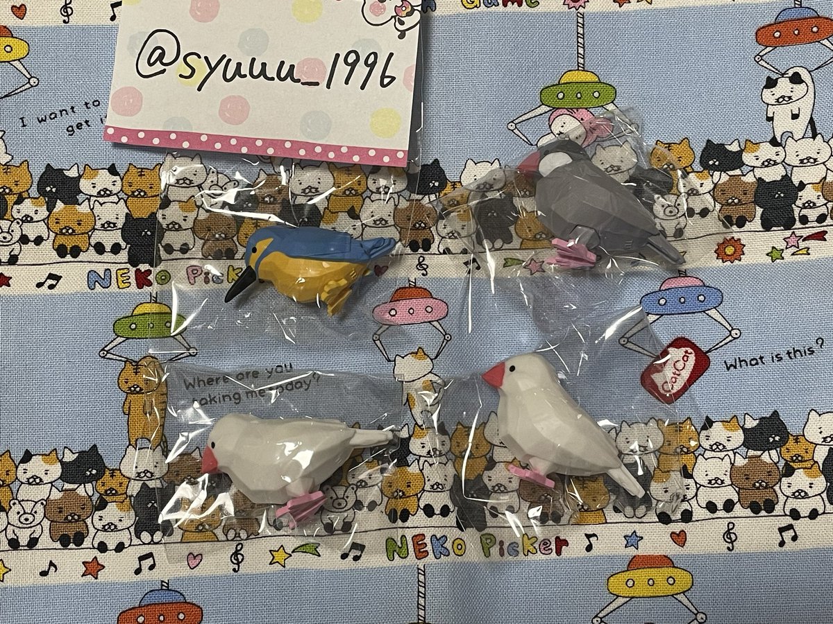 syuuu_1996's tweet photo. 【交換・譲渡】ガチャ かくかくとりとり かくかく とりとり

譲)✩カワセミ×1、✩桜文鳥×1、白文鳥×2

求)定価、シマエナガ
※✩の譲渡は無印を同数お迎えの方のみ

都内手渡し（池袋優先）のみ🙇‍♀️
郵送❌
よろしくお願いいたします https://t.co/sHUWvup26n