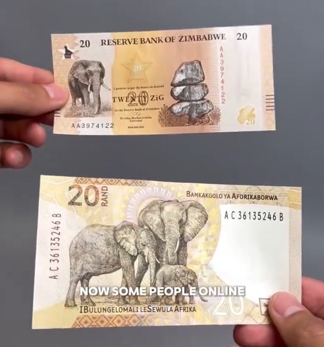 HermaineM's tweet photo. Did Zimbabwe just copied our bank notes , or is it a coincidence? 👀 https://t.co/aAhfXCco44