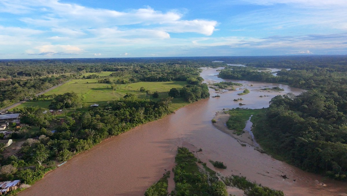 InstitutoSINCHI's tweet photo. Con SIAT-AC MoSCAL seguimos recorriendo el territorio amazónico para verificar en campo las coberturas de las tierras y fortalecer la calidad de la información ambiental que permite hacer seguimiento a las dinámicas del paisaje en la región. https://t.co/8qLq7t4zkO