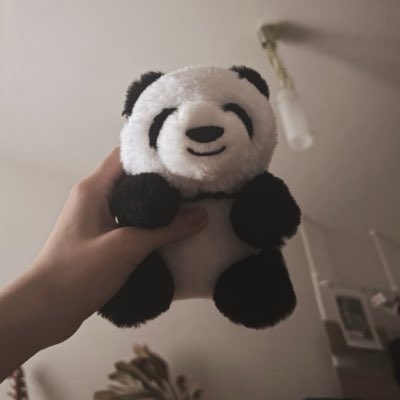 beshiyama's tweet photo. #新しいプロフィール画像 https://t.co/EBYw256yhk