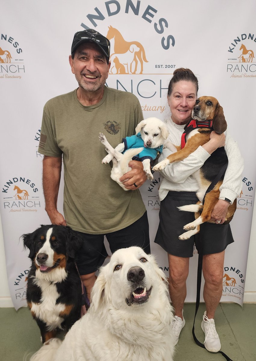 kindnessranch's tweet photo. June has only just begun, and already 7 former research beagles have found their fur-ever homes! 

Darwin, Feyre, Azriel, Buckingham, Nesta, Cosmo, and Andama are all unwinding and settling into their brand new lives as we speak.

Adopt here: https://t.co/TVoQQXcIKN https://t.co/YrLzrdMSvS