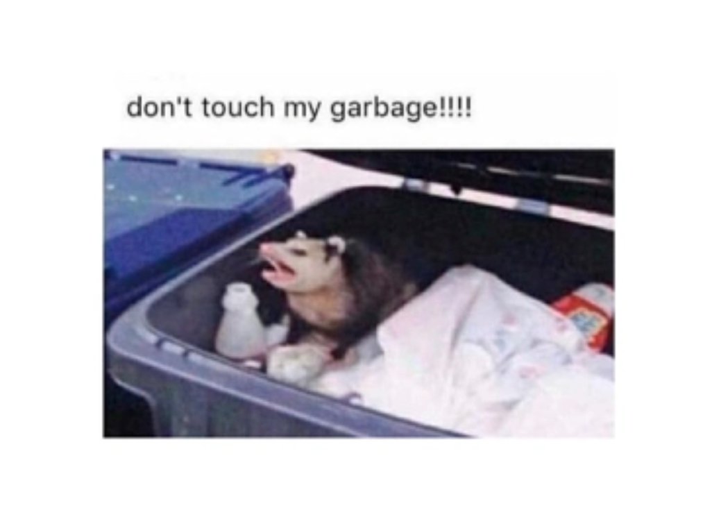 samlambert's tweet photo. when bugbot roasts my pull request https://t.co/d89WA7Zpxb