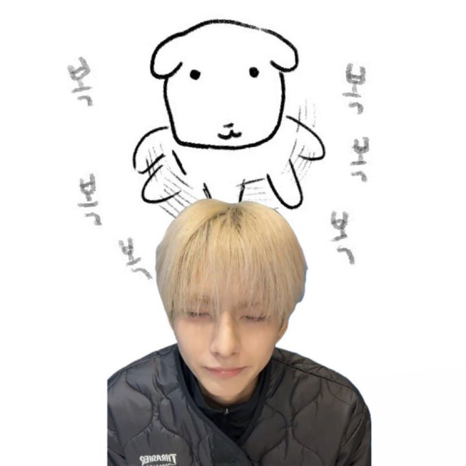 호이 tweet media