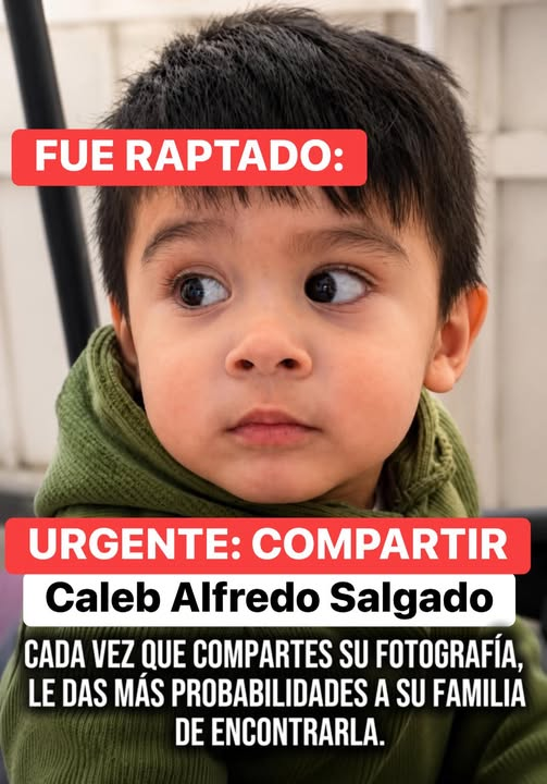 lunadeandromeda's tweet photo. este bb a sido maltratado vean sus ojitos de mucho miedo https://t.co/GNkQ0tGfwR