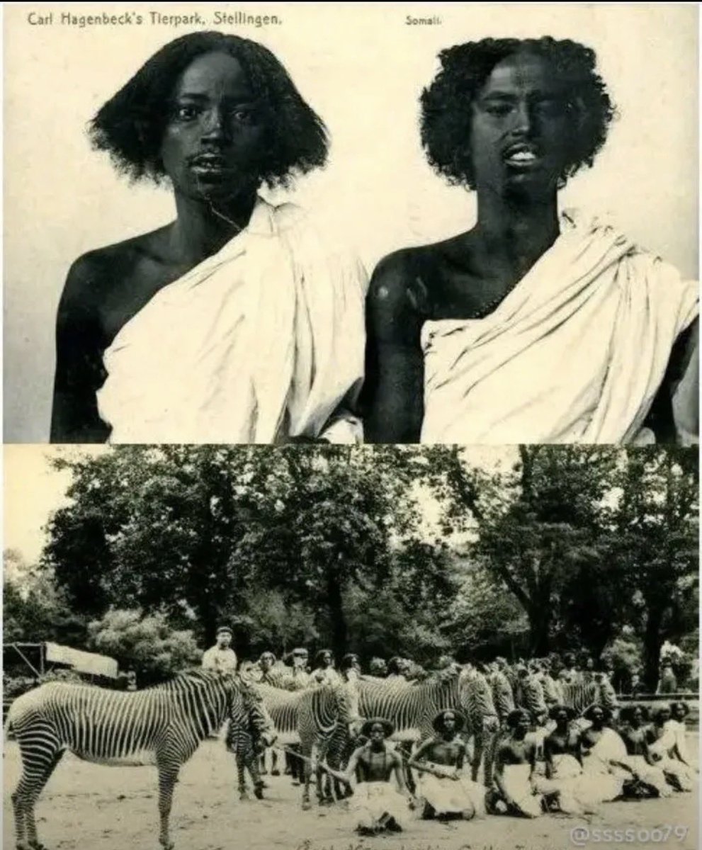 Dude122033's tweet photo. @UGSP2 Zoomalia has no  history besides being slave and a total zoo. 😹 That's why y'all are still stuck as a permanent Failed State, https://t.co/TkMhGeFk2s