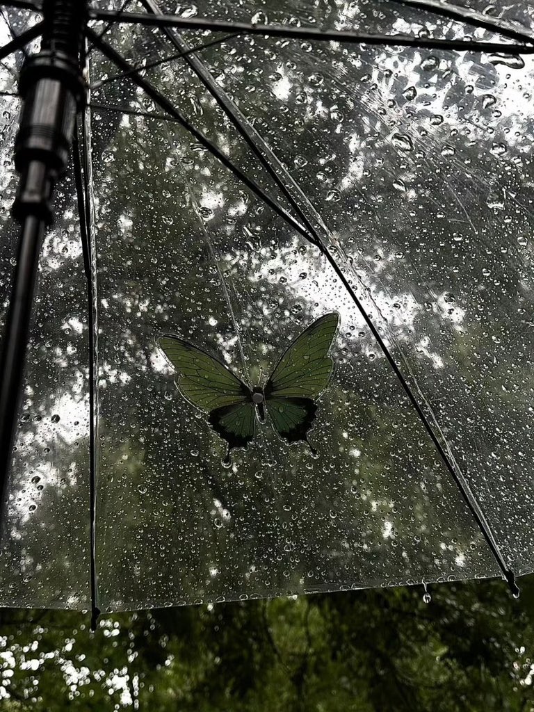 lunecrumbss's tweet photo. favorite weather https://t.co/WkOFPQEJGZ