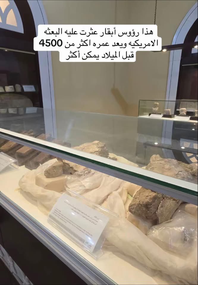DrMohammedBa's tweet photo. آثار من متحف المُكلا-حضرموت https://t.co/5otQAd8STA
