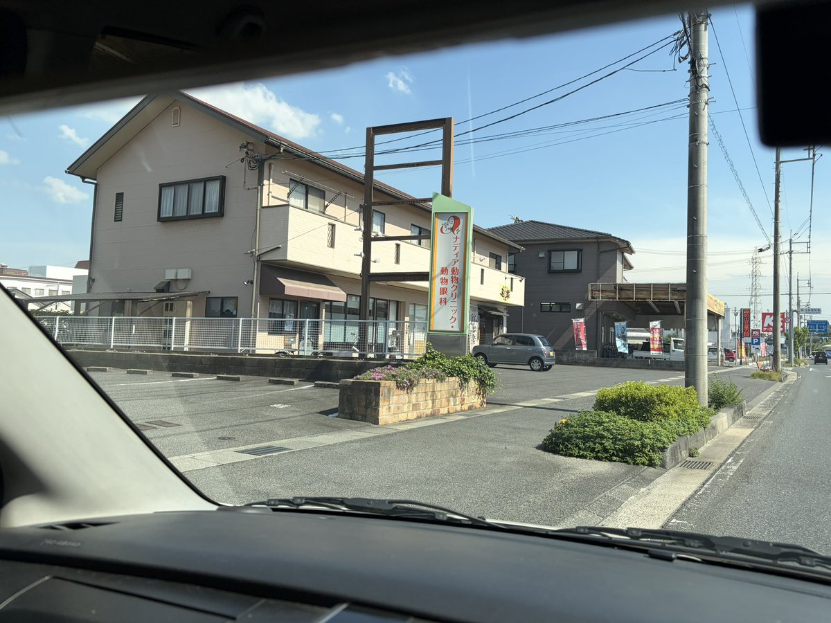 hirokosandayon's tweet photo. 7年前の今日、マリンちゃんが今日行く動物眼科にBBちゃんも行ったね…
BBちゃんスケッツなったけど、手術が出来る状態でなく目👀痛いまま21日にお星様になっちゃったね🌈✨
今日はマリンちゃんが動物眼科だけど眼球摘出ならないようお空から見守っててね♡ https://t.co/yufZzlQ2z4