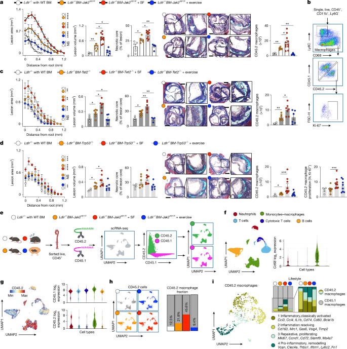 LabWaggoner's tweet photo. Mutation-dependent responses to sleep and exercise in clonal haematopoiesis @Nature @cam_phd @SinaiImmunol
https://t.co/LwwrKJlaUi https://t.co/yJPDY1PQu1