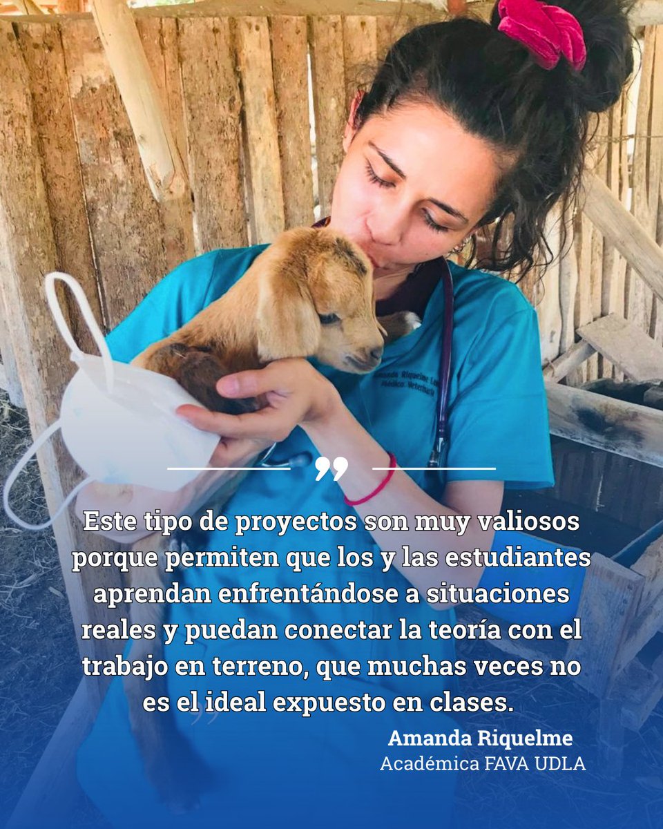 FAVAUDLA's tweet photo. 🐄 Estudiantes de 5° año de Medicina Veterinaria UDLA participaron en un proyecto A+S liderado por la académica Amanda Riquelme en una lechería de Melipilla.

La experiencia permitió conectar la teoría con el trabajo en terreno, abordando nutrición, clínica y producción lechera. https://t.co/z1S00KvQ94