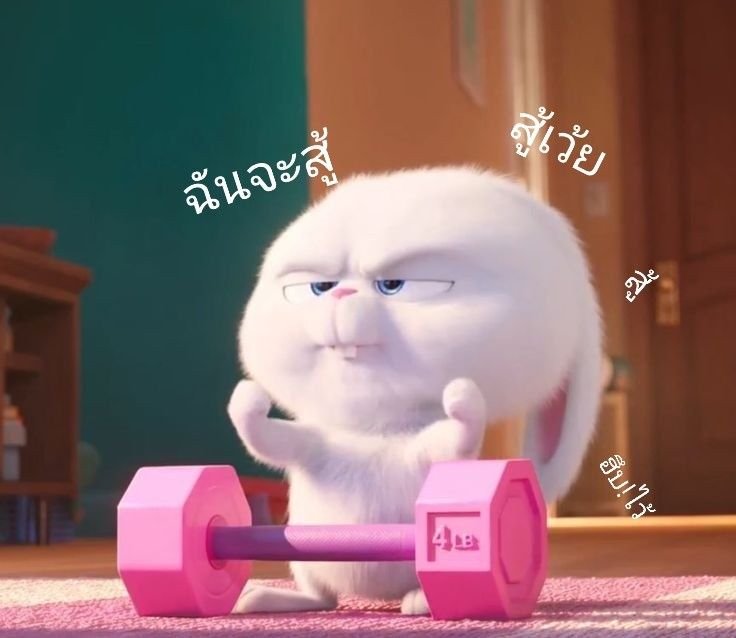 😼😼 tweet media