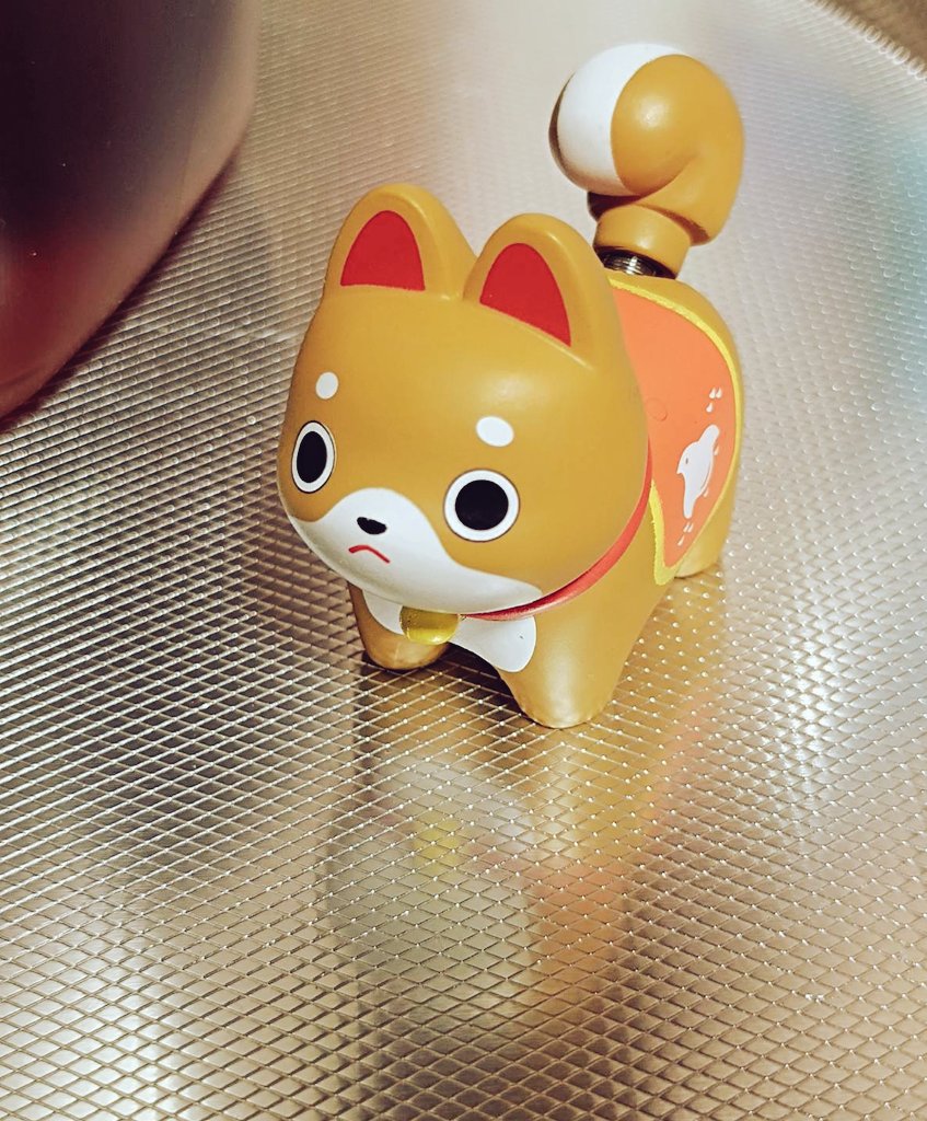 ngktw's tweet photo. かわいい https://t.co/YbnVGSoPDS